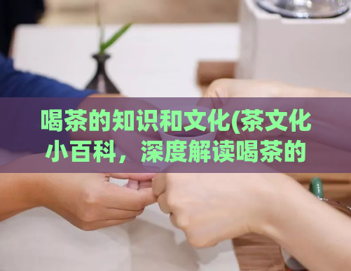 喝茶的知识和文化(茶文化小百科，深度解读喝茶的知识和文化秘籍！)
