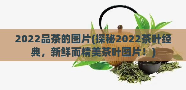 2022品茶的图片(探秘2022茶叶经典，新鲜而精美茶叶图片！)