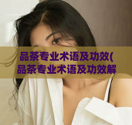 品茶专业术语及功效(品茶专业术语及功效解析)