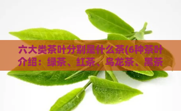 六大类茶叶分别是什么茶(6种茶叶介绍：绿茶、红茶、乌龙茶、黑茶、白茶和黄茶)