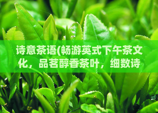 诗意茶语(畅游英式下午茶文化，品茗醇香茶叶，细数诗意的文化象征)