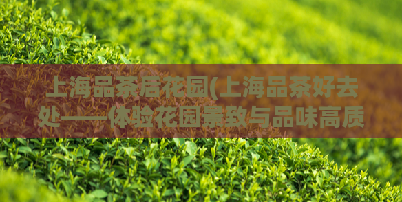 上海品茶后花园(上海品茶好去处——体验花园景致与品味高质量的茶水)