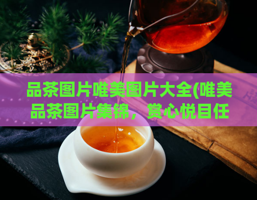 品茶图片唯美图片大全(唯美品茶图片集锦，赏心悦目任你挑选！)
