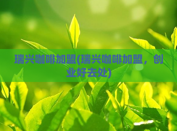 瑞兴咖啡加盟(瑞兴咖啡加盟，创业好去处)