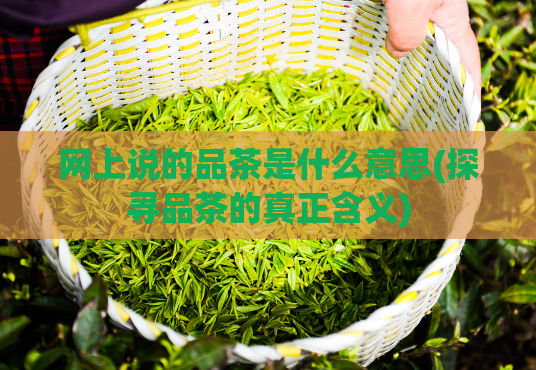 网上说的品茶是什么意思(探寻品茶的真正含义)