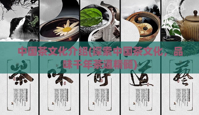 中国茶文化介绍(探索中国茶文化，品味千年茶道精髓)