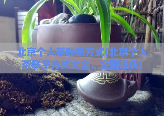 北京个人茶联系方式(北京个人茶联系方式大全，全国送货)