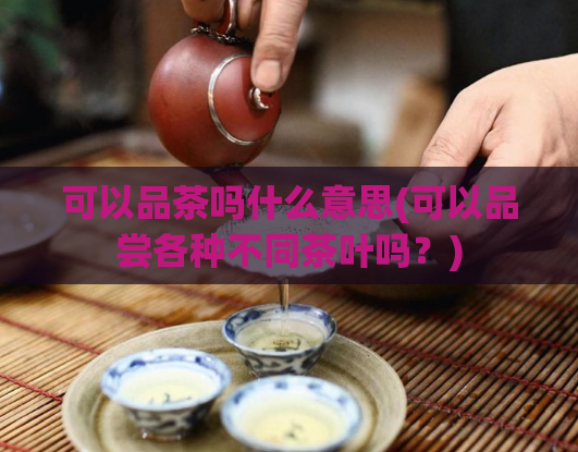 可以品茶吗什么意思(可以品尝各种不同茶叶吗？)