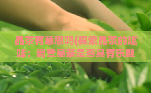 品茶有意思吗(探索品茶的趣味：调查品茶是否具有乐趣性)