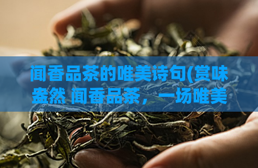 闻香品茶的唯美诗句(赏味盎然 闻香品茶，一场唯美的香气之旅)