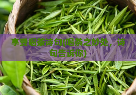 享受喝茶诗句(喝茶之妙处，诗句告诉你)
