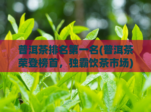 普洱茶排名第一名(普洱茶荣登榜首,独霸饮茶市场)