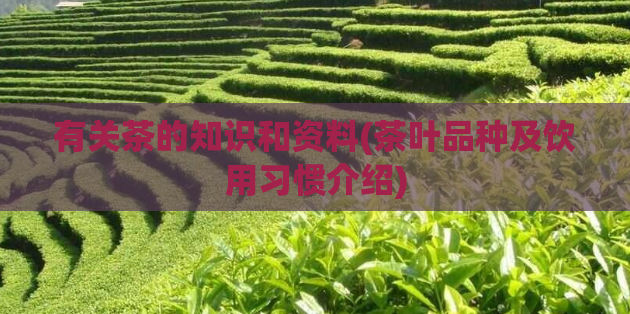 有关茶的知识和资料(茶叶品种及饮用习惯介绍)