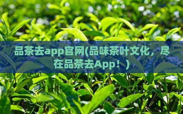 品茶去app官网(品味茶叶文化，尽在品茶去App！)