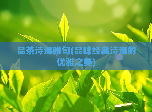 品茶诗词雅句(品味经典诗词的优雅之美)