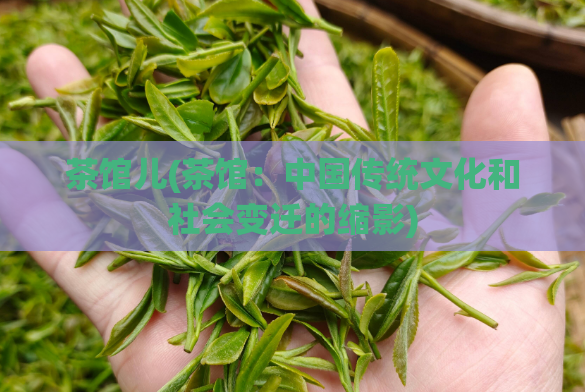茶馆儿(茶馆：中国传统文化和社会变迁的缩影)