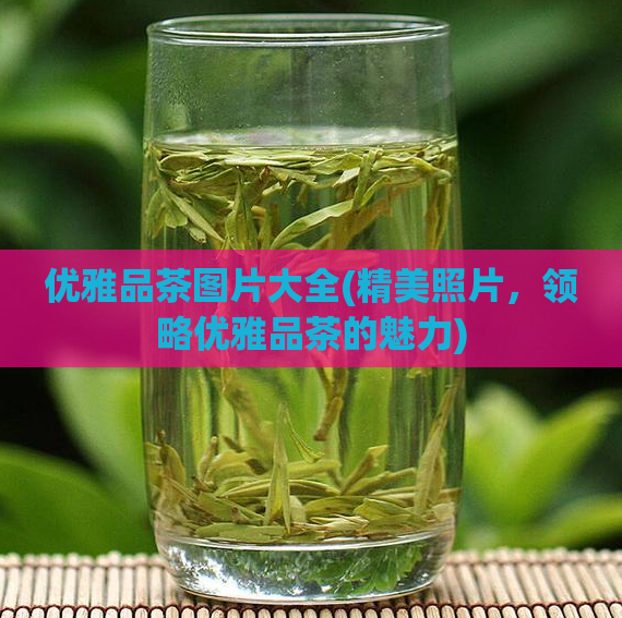优雅品茶图片大全(精美照片,领略优雅品茶的魅力)