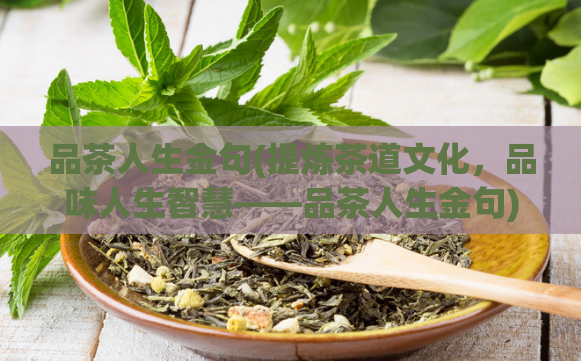 品茶人生金句(提炼茶道文化,品味人生智慧——品茶人生金句)