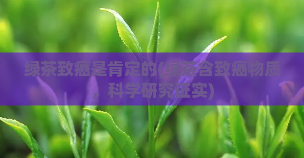 绿茶致癌是肯定的(绿茶含致癌物质，科学研究证实)
