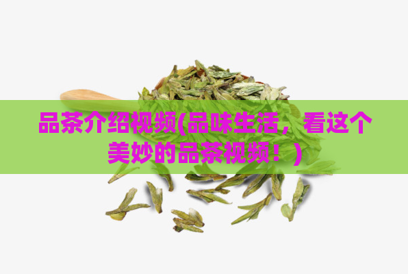 品茶介绍视频(品味生活，看这个美妙的品茶视频！)