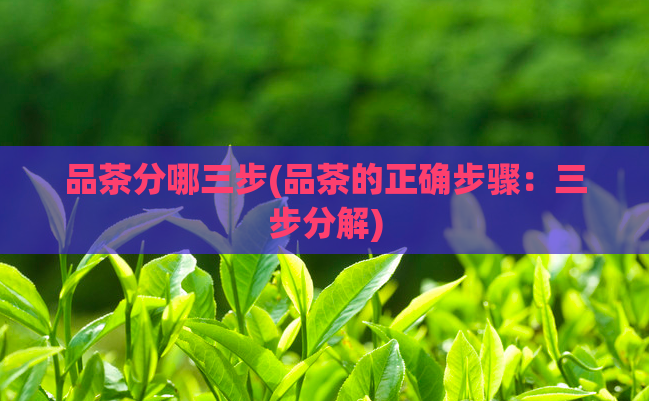 品茶分哪三步(品茶的正确步骤:三步分解)