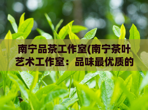 南宁品茶工作室(南宁茶叶艺术工作室：品味最优质的茶叶文化)
