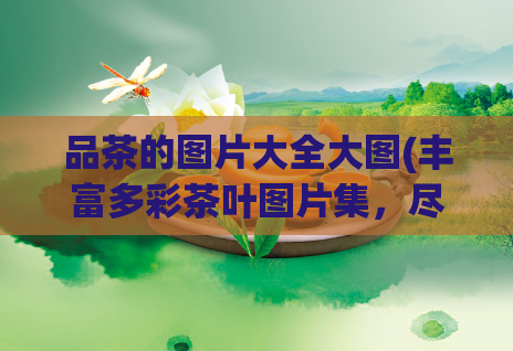 品茶的图片大全大图(丰富多彩茶叶图片集，尽在这份精美合集！)