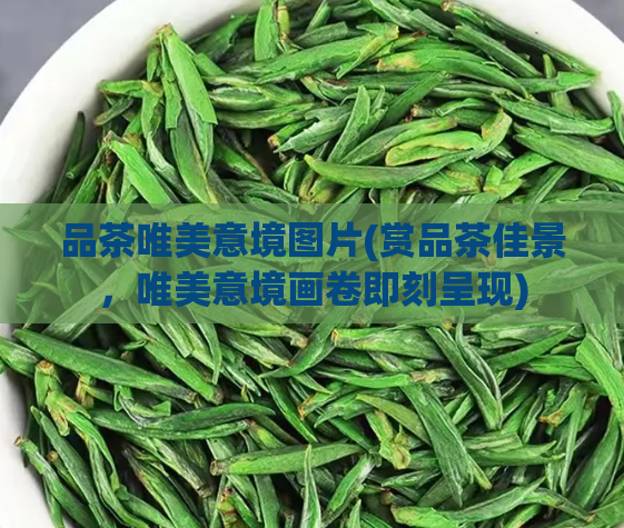 品茶唯美意境图片(赏品茶佳景，唯美意境画卷即刻呈现)