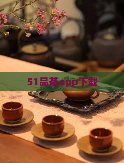 51品茶app下载