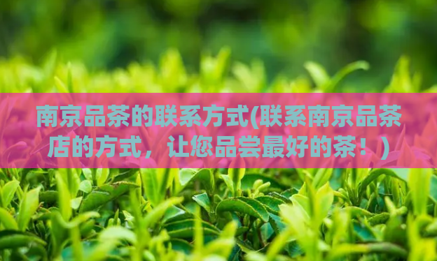 南京品茶的联系方式(联系南京品茶店的方式，让您品尝最好的茶！)