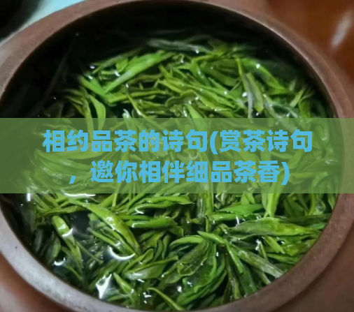 相约品茶的诗句(赏茶诗句，邀你相伴细品茶香)