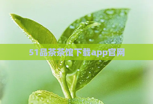 51品茶茶馆下载app官网