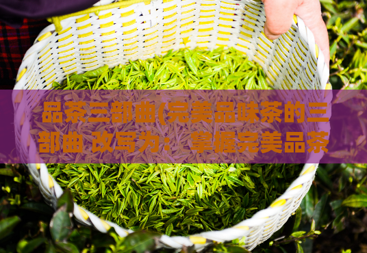 品茶三部曲(完美品味茶的三部曲 改写为： 掌握完美品茶之道的三步走)
