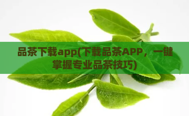 品茶下载app(下载品茶APP，一键掌握专业品茶技巧)