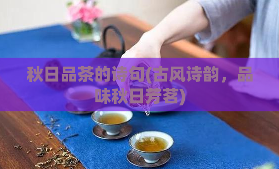 秋日品茶的诗句(古风诗韵，品味秋日芳茗)