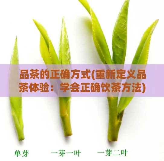 品茶的正确方式(重新定义品茶体验：学会正确饮茶方法)