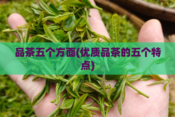 品茶五个方面(优质品茶的五个特点)