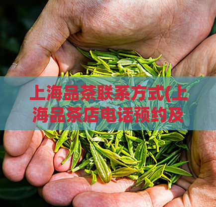 上海品茶联系方式(上海品茶店电话预约及地址详解)