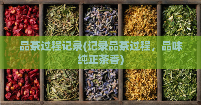 品茶过程记录(记录品茶过程,品味纯正茶香)