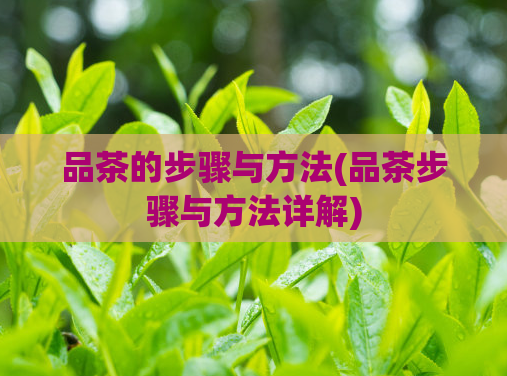 品茶的步骤与方法(品茶步骤与方法详解)