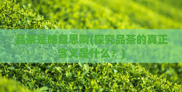 品茶是啥意思啊(探究品茶的真正含义是什么？)