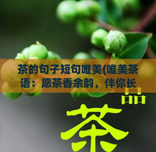 茶的句子短句唯美(唯美茶语：愿茶香余韵，伴你长夜。)