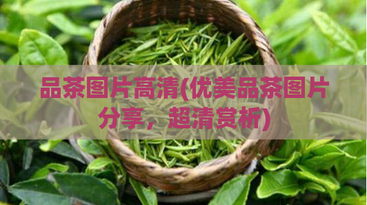 品茶图片高清(优美品茶图片分享,超清赏析)
