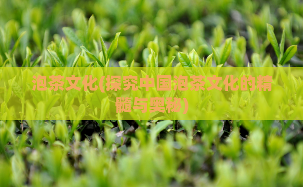泡茶文化(探究中国泡茶文化的精髓与奥秘)