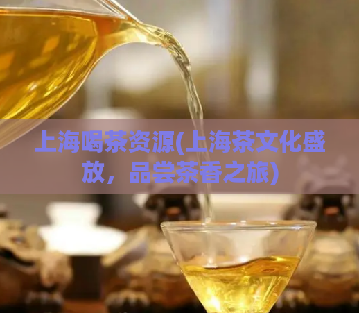 上海喝茶资源(上海茶文化盛放,品尝茶香之旅)