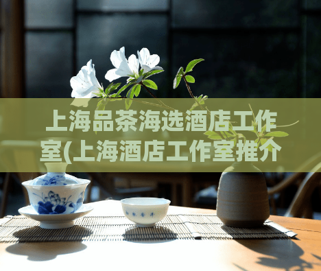 上海品茶海选酒店工作室(上海酒店工作室推介优质品茶场所)