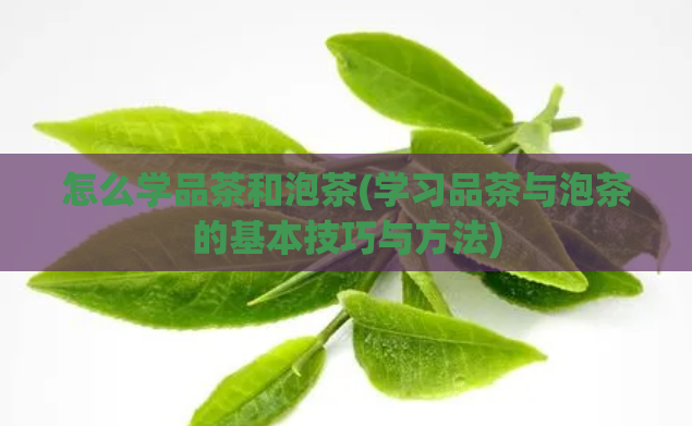 怎么学品茶和泡茶(学习品茶与泡茶的基本技巧与方法)