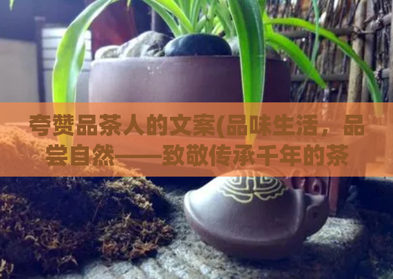 夸赞品茶人的文案(品味生活，品尝自然——致敬传承千年的茶人精神)