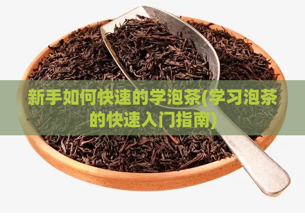 新手如何快速的学泡茶(学习泡茶的快速入门指南)