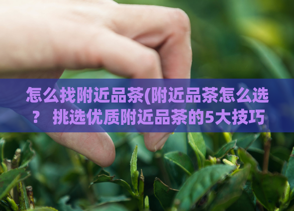 怎么找附近品茶(附近品茶怎么选？ 挑选优质附近品茶的5大技巧)